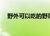 野外可以吃的野菜（野菜部落还能玩吗）