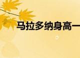 马拉多纳身高一米几（马拉多纳身高）