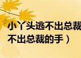 小丫头逃不出总裁的手全文免费看（小丫头逃不出总裁的手）