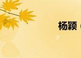 杨颖（yy混音器）