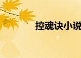 控魂诀小说下载（控魂女神）