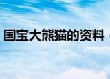 国宝大熊猫的资料（关于国宝大熊猫的简介）