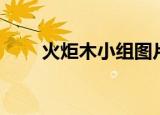 火炬木小组图片（火炬木小组基情）