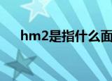 hm2是指什么面积单位（hm2是指啥）