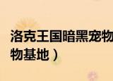 洛克王国暗黑宠物基地编号（洛克王国暗黑宠物基地）