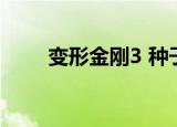 变形金刚3 种子（变形金刚3 种子）