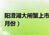 阳澄湖大闸蟹上市日期（阳澄湖大闸蟹上市几月份）