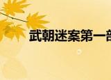 武朝迷案第一部（武朝迷案第一部）