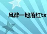 风醉一地落红txt下载（风醉一地落红）