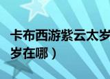 卡布西游紫云太岁技能搭配（卡布西游紫云太岁在哪）