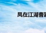 凤在江湖曹颖（凤在江湖结局）