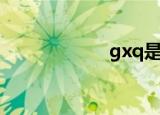 gxq是什么（gxq）