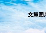 文慧图片（文慧你听）
