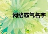 网络霸气名字（网络霸气名字大全）