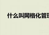 什么叫网格化管理（什么是网格化管理）