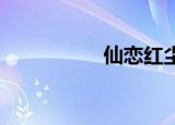 仙恋红尘（仙恋 董贞）