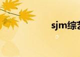 sjm综艺（sjm综艺）