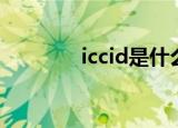 iccid是什么（iccid的意思）