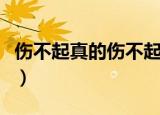 伤不起真的伤不起下一句（伤不起真的伤不起）