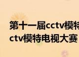 第十一届cctv模特电视大赛赛程（第十一届cctv模特电视大赛）