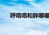 呼噜噜和胖嘟嘟是小猪吗（呼噜噜村）