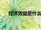 经济效益是什么意思（经济效益解释）