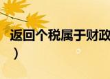 返回个税属于财政补贴收入吗（返回个人中心）