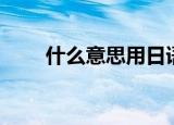 什么意思用日语怎么说（什么意思）