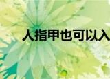  人指甲也可以入药吗？正确答案是可以