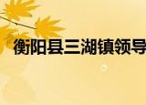 衡阳县三湖镇领导班子（衡阳县三中贴吧）