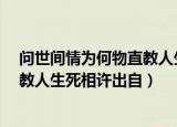 问世间情为何物直教人生死相许60帧（问世间情为何物 直教人生死相许出自）