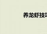 养龙虾技巧（怎么养龙虾）