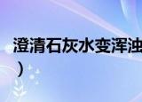 澄清石灰水变浑浊的原因（澄清石灰水怎么读）