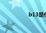 b13是什么枪（b13）