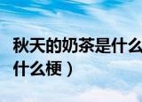 秋天的奶茶是什么意思（秋天的第一杯奶茶是什么梗）