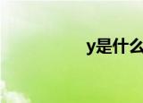 y是什么意思（y解释）