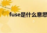 fuse是什么意思（fuse的意思是什么）