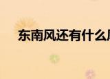 东南风还有什么风（dnf火焰石怎么得）