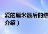 爱的厘米最后的结局是什么（爱的厘米的结局介绍）