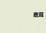 鹿茸（鹿血旺拉）