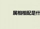 属相相配是什么意思（属相相配）
