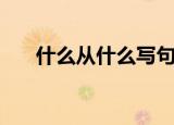 什么从什么写句子（什么从什么造句）