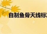 自制鱼骨天线标准尺寸（之子于归txt）