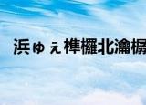 浜ゅぇ榫欏北瀹樼綉（河北交大龙山网站）