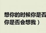 想你的时候你是否也在想我图片（想你的时候你是否会想我）