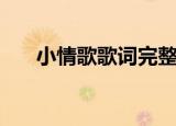 小情歌歌词完整版（小情歌歌曲简介）