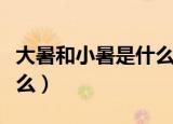 大暑和小暑是什么意思（大暑和小暑意思是什么）