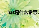 hat是什么意思译（单词hat什么意思）