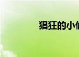猖狂的小偷（猖狂的意思）