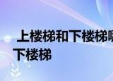  上楼梯和下楼梯哪个动作更上膝盖 正确答案下楼梯